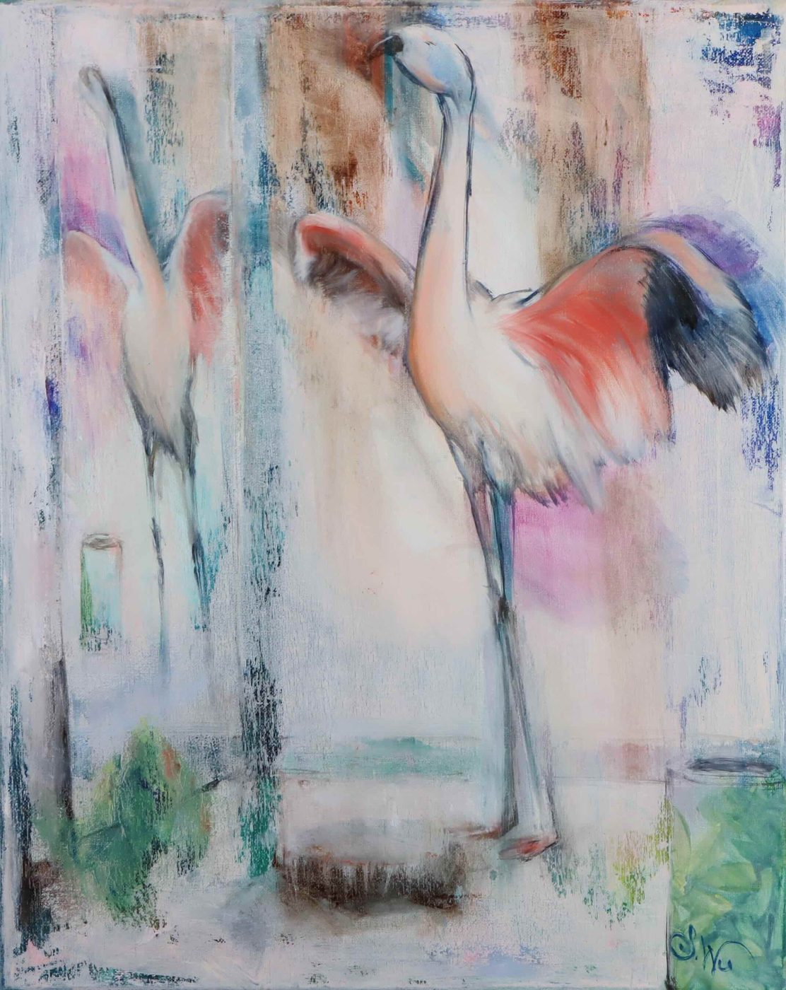 Fan of the Flamingo